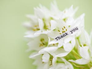 今のコンデジには様々なタイプがあります