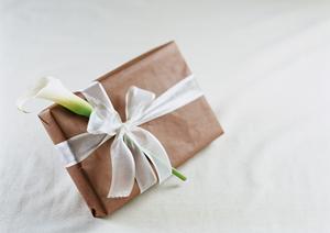 信頼の販売店が教える!ウィーン銀貨の選び方と高品質なコインを手に入れるポイント